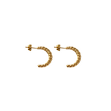 Curve Earrings