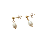 Pearl Studs