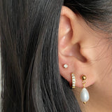 Pearl Studs